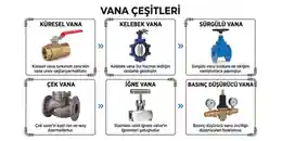 Vana Çeşitleri