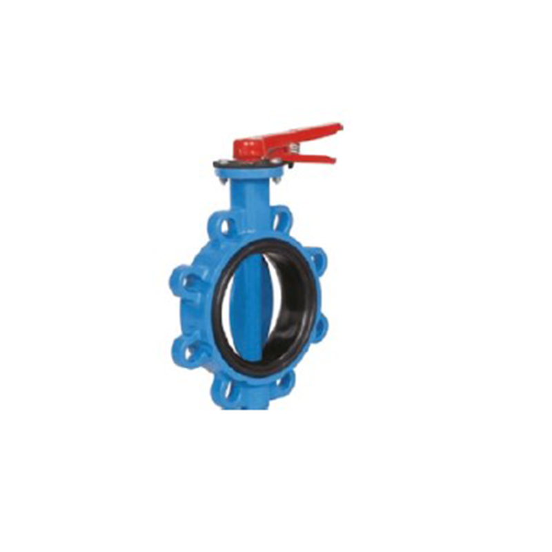 PN16 Kelebek Vana Lug Tip
